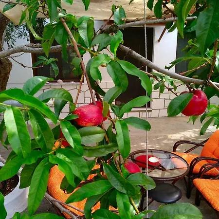 Our Parent's House. Family House For Rent Hébergement de vacances Skála Kallirákhis