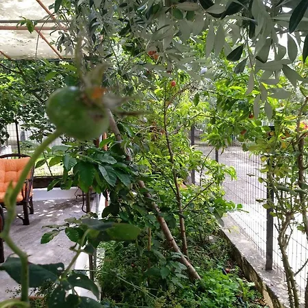 Our Parent's House. Family House For Rent Dom wakacyjny