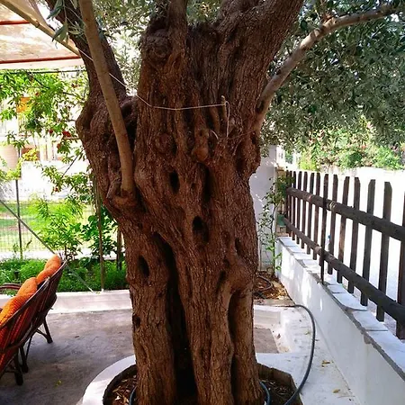 Our Parent's House. Family House For Rent Hébergement de vacances Skála Kallirákhis