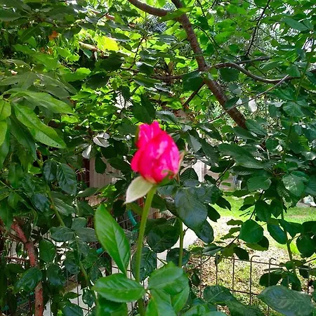 Our Parent's House. Family House For Rent Hébergement de vacances Skála Kallirákhis