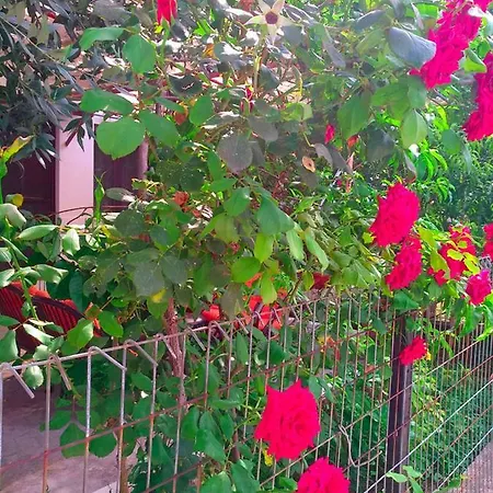 Our Parent's House. Family House For Rent * Skala Kallirakhis